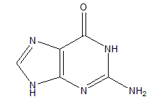 guanine