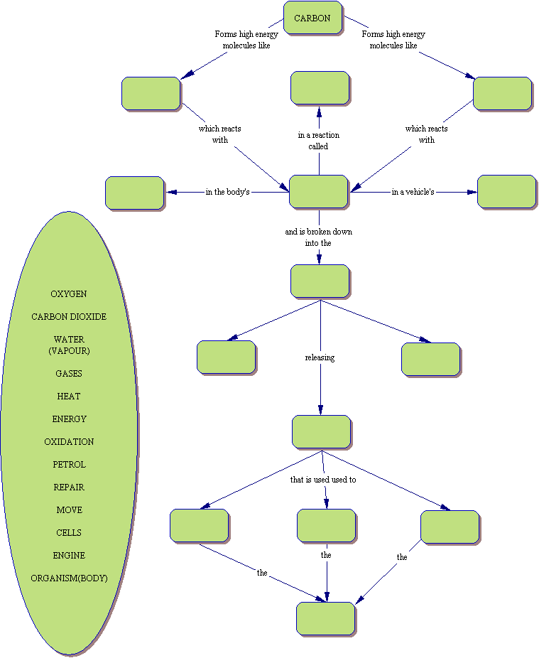 mapa-conceitual-proteinas