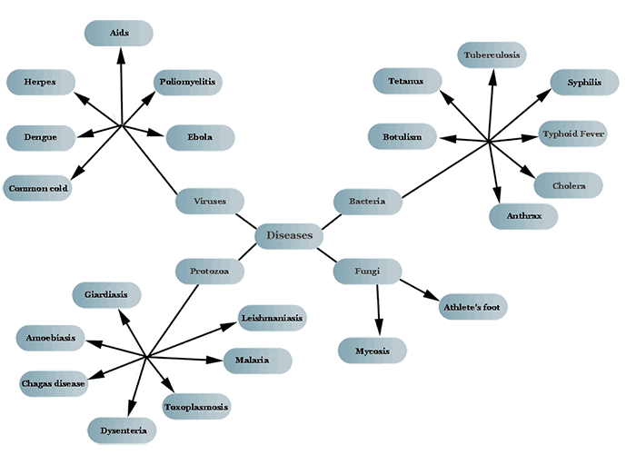 mapa-conceitual- doenças infecciosas