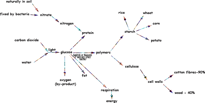 mapa-conceitual-Metabolismo da glicose