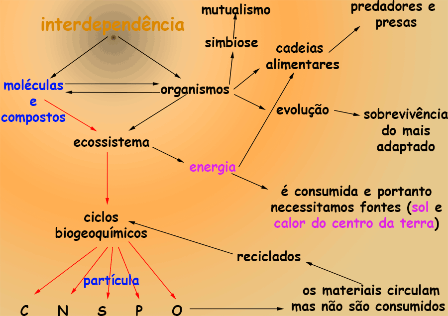 MAPA CONCEITUAL - FORÇA