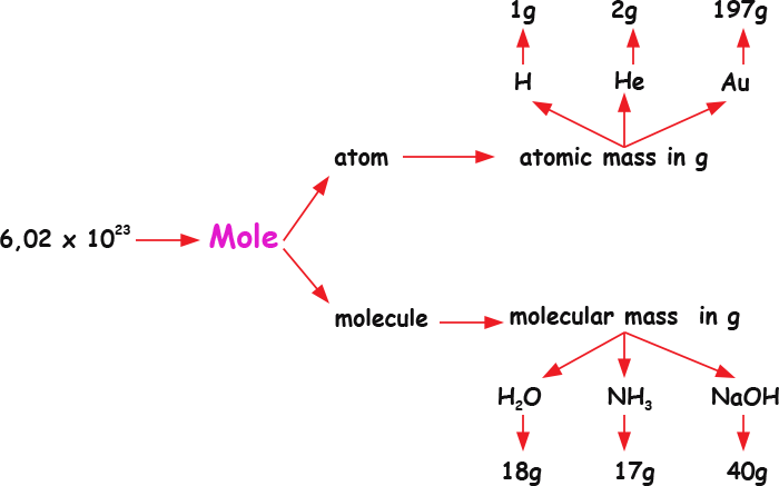 mapa-conceitual-Conceitos de átomo grama e molécula grama